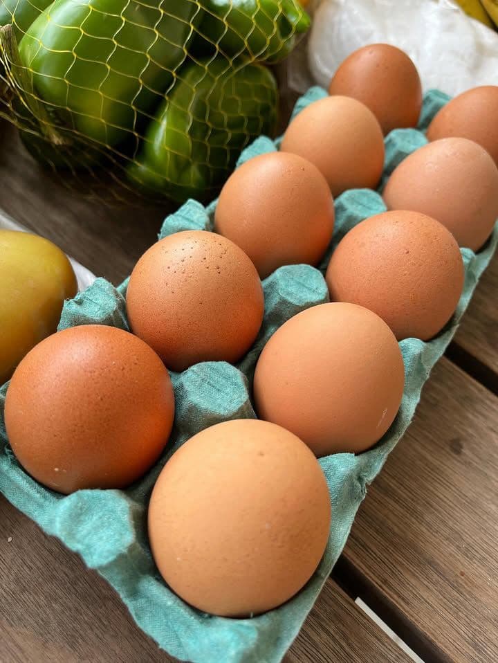 Ovos Orgânicos